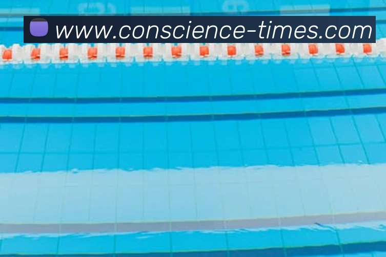 买球官方APP 封面图